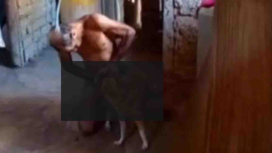 Vídeo de abuso contra animal resulta na prisão de morador da região do Assoalho, zona rural de Ibirataia