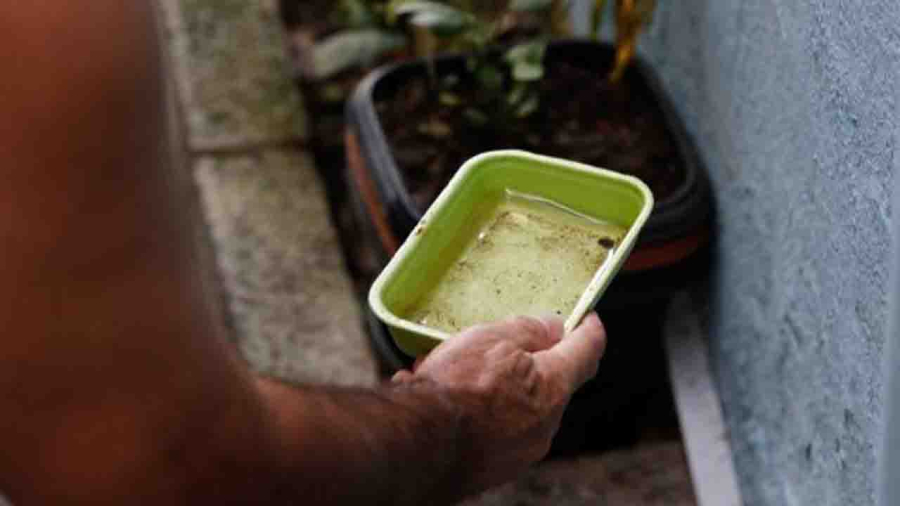 Bahia reduz 41% casos de dengue em 2026; saiba quem pode se vacinar e cidades em epidemia